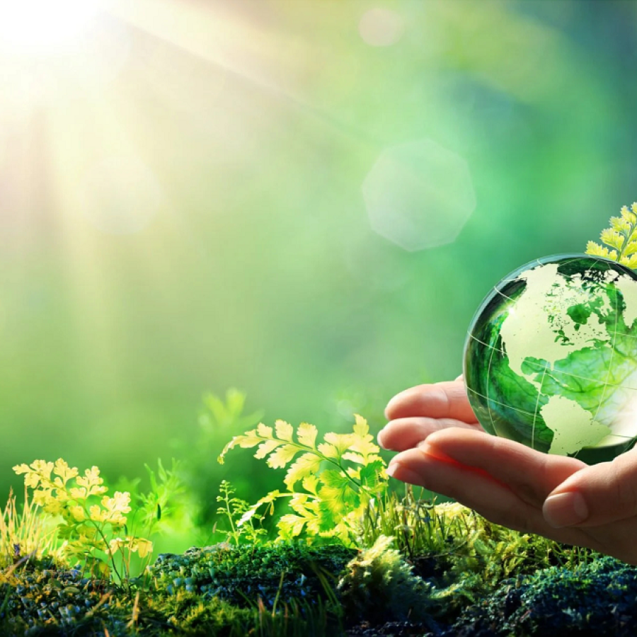 Telmaco Corporate Responsibility